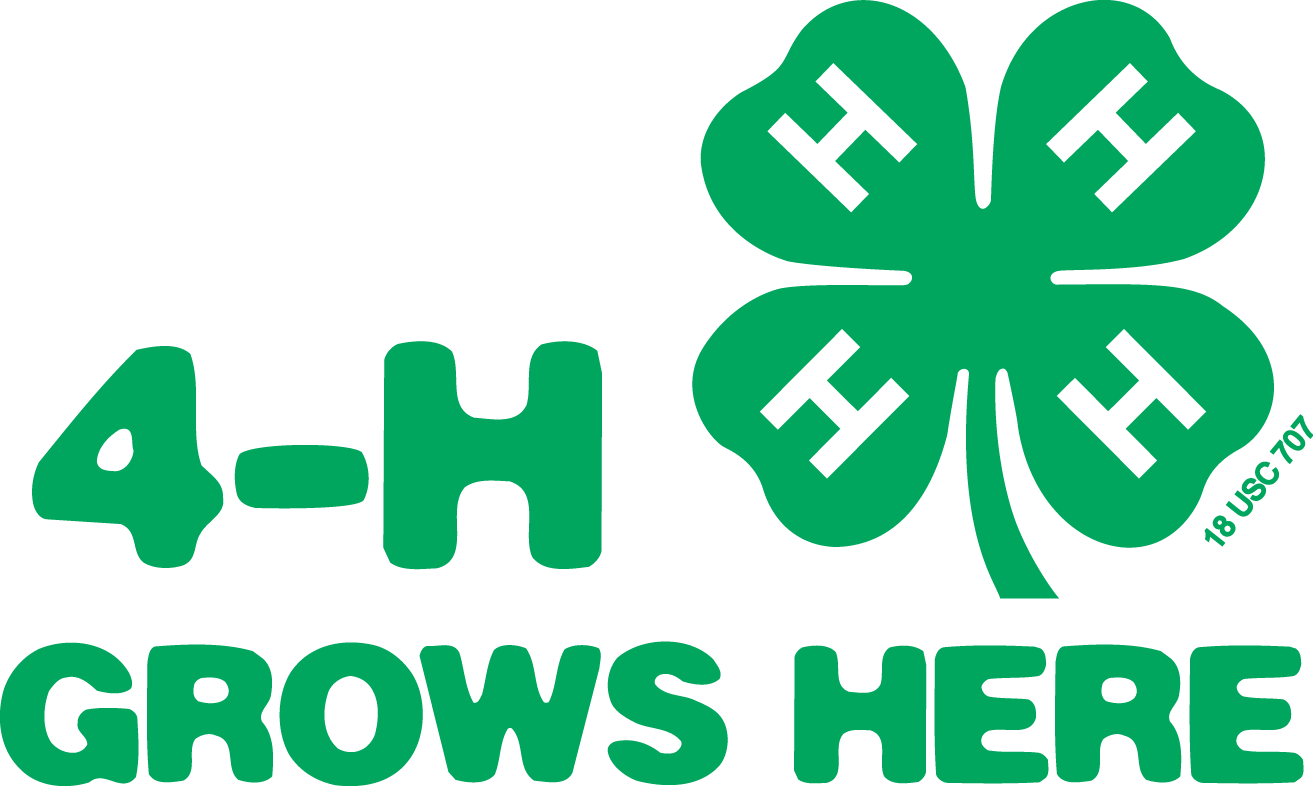 County Support – Wisconsin 4-H Foundation
